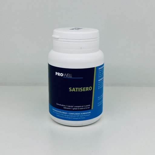 [PWSAT] Satisero